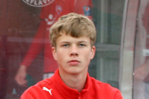 Samúel Kári til Reading